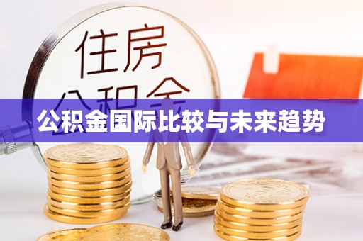 清丰公积金国际比较与未来趋势