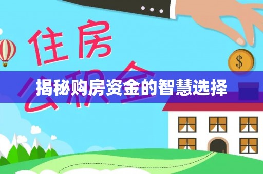 清丰揭秘购房资金的智慧选择